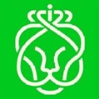 Stichting school lelystad