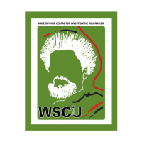 Wole soyinka centre for investigative journalism