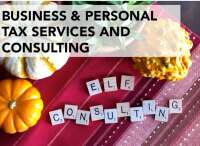 Elf consulting