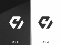 C4 concepts
