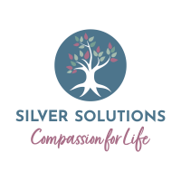 Silver solutions b.v.