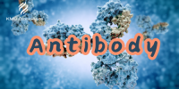KMD Bioscience Co., Ltd.