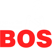 Baku oil services