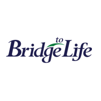 Bridge into life