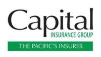 The capital insurance group