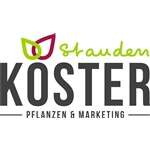 Let's brand - stauden köster