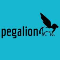 Pegalion gmbh & co. kg