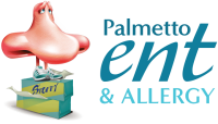 Palmetto ent consultants, p.a.