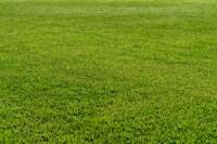 Lincoln Lawn Care