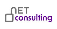Netconsulting online