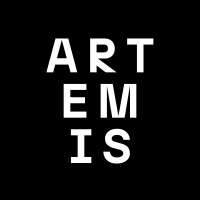 Artemis styling academie