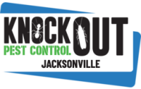 Knockout Termite Control & Treatment Jacksonville