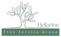 Bellarine tree services