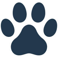BestForPets