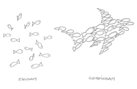 Koenigswieser & network