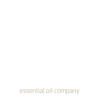 Alpha lavender