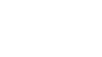 Spies in disguise, inc.