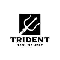 Trident case