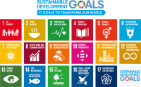 Generation why - our solutions for the sdgs