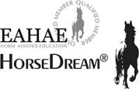 G&k horsedream gmbh