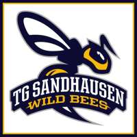 Tg sandhausen wild bees
