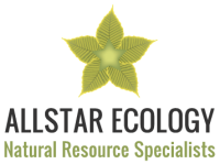Allstar ecology llc
