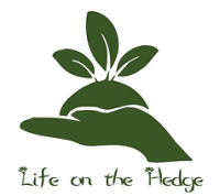 Life on the hedge