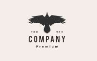 Crow beautiful productions