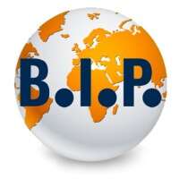 B.i.p. gmbh international human resources consultants