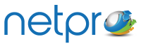 Netpro it, llc