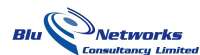 Blu networks consultancy limited