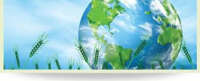Cman consulting services limited