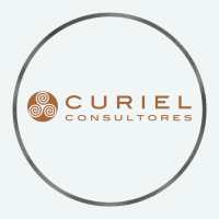Curiel consultores s.l