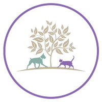 Burke forest veterinary clinic