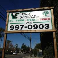 V And E Tree Service INC