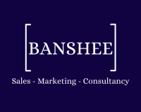 Banshee computer consulting corp