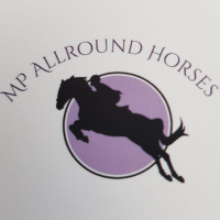 M.p. allround support