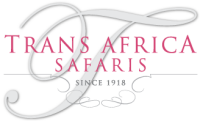 Trans africa safaris