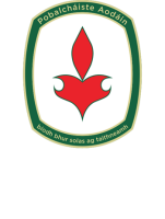 St. aidan's community school, brookfield, tallaght, d24