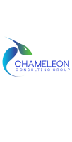 Domani consulting group, llc