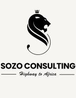 Africa translate consulting