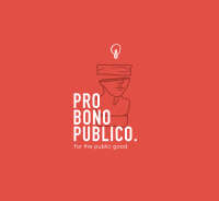 Pro bono publico