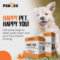Fengee