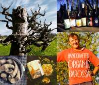 Smallfry wines