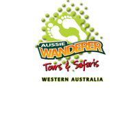 Aussie wanderer
