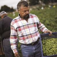 Azcona harvesting, llc