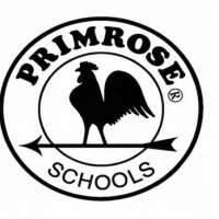 Primrose school of lewis center