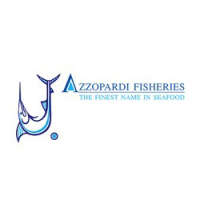 Azzopardi & partners pty ltd