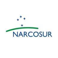 Mercosur online