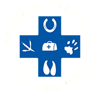 Cooranbong animal hospital